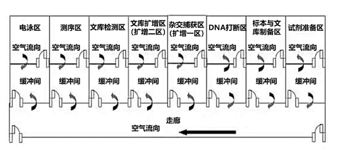 腫瘤NGS診斷實驗室平臺主要區(qū)域及流轉(zhuǎn)示意圖