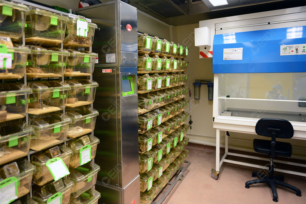 SPF動物實驗室如何控制環境及凈化空調節能方案設計  CEIDI西遞