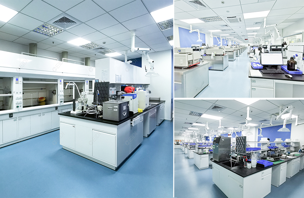 從理論到實(shí)踐，藥品檢驗(yàn)檢測(cè)實(shí)驗(yàn)室標(biāo)準(zhǔn)建設(shè)方案指南 